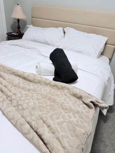 Lansdowne Apartment | Deelux stay private room near airport and downtown