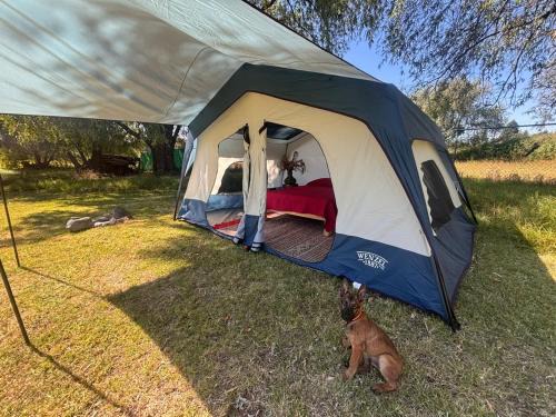 Tlaxcala Other | Glamping Lagoon