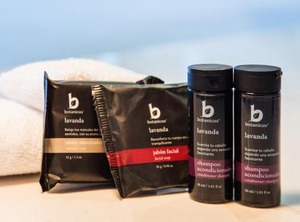 Fiesta Inn Cd De Mexico Forum Buenavista | Downtown Mexico City