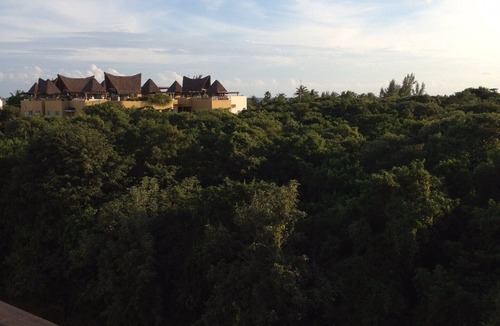 Gonzalo Guerrero Condo | Beautiful penthouse with roof top one block-from 5th Avenue and coco beach!