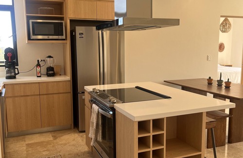 Downtown San Jose del Cabo Condo | Cabo Penthouse with Rooftop Pool 10 min. to beach!