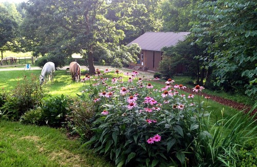 Afton House | Charming Vacation Rental in a Barn on a Horse Farm near Afton Mountain in Virginia