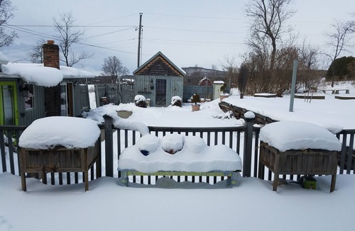 Charlotte Hotel | Cottage Suite located in the most beautiful area in New England!