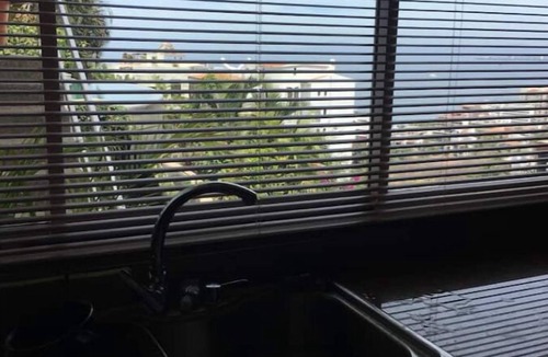 Romantic Zone Condo | Private Romantic Ocean View Haven with 40 foot Deck & Filtered Water