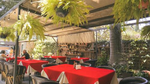 Chapala Centro Hotel | Toca Madera