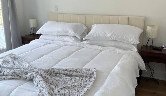 1 Bedroom Luxury DC Experience