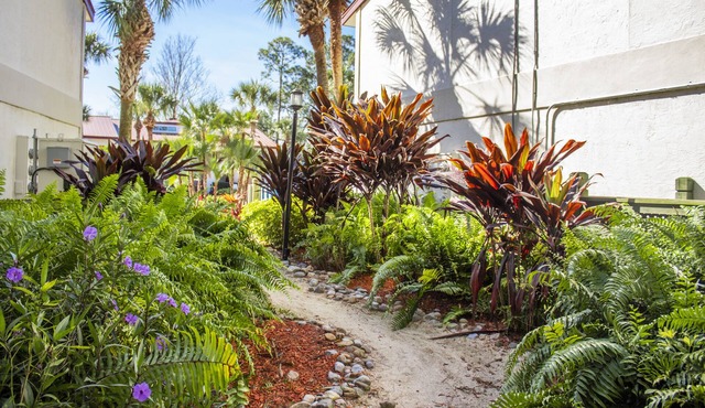 Bryan’s Spanish Cove by Coolvacay
