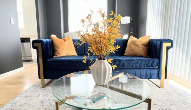 Elegant King Suite Metro DC