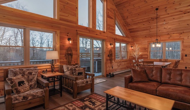 Gorgeous dog-friendly cabin with great view, deck, hot tub, & gas fireplace