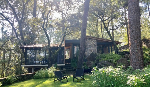 XOMUE Suite 1