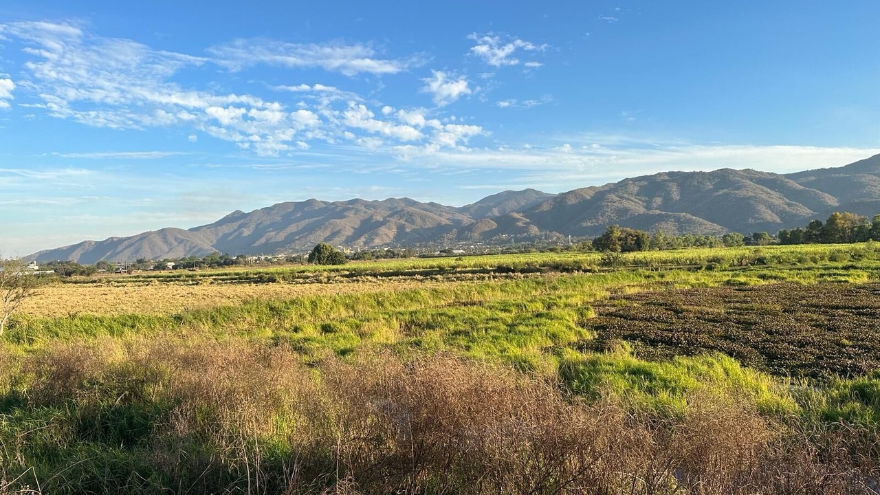 Photo of Outdoor in Etzatlan