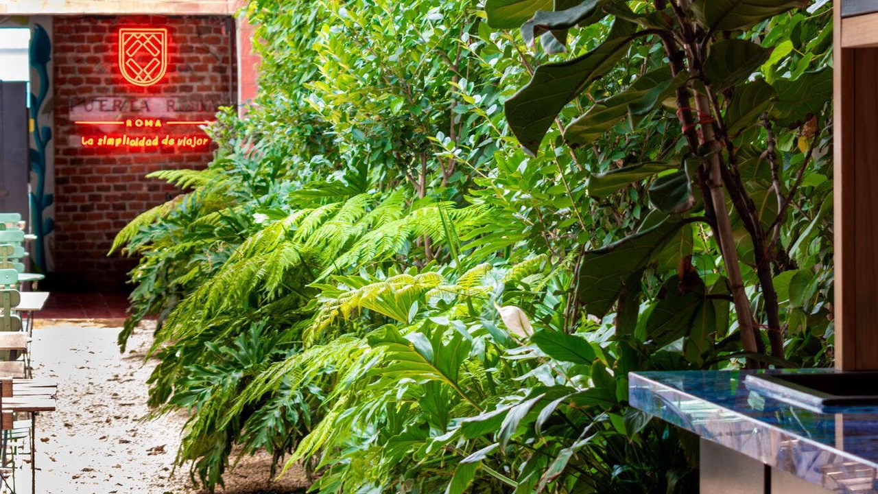 Photo of Outdoor in Colonia Roma