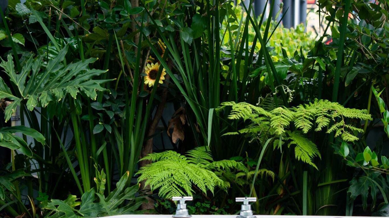 Photo of Outdoor in Colonia Roma