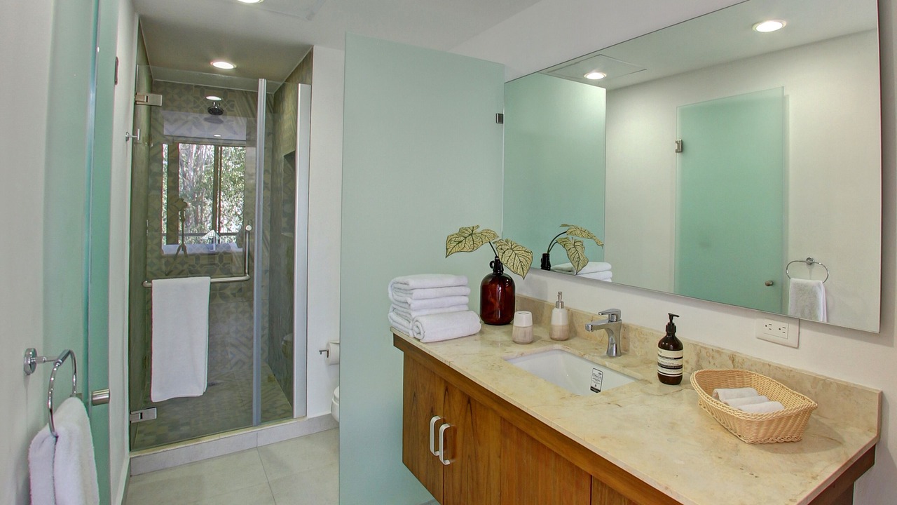 Photo of Bathroom in Zama