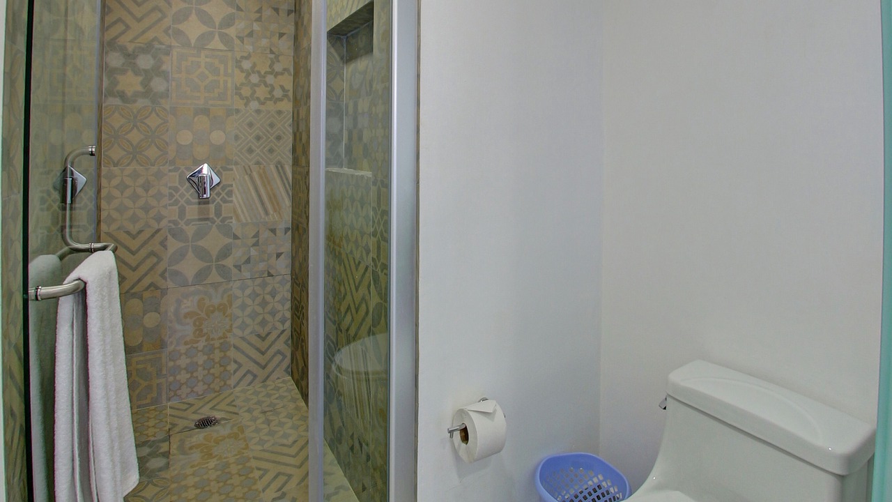 Photo of Bathroom in Zama