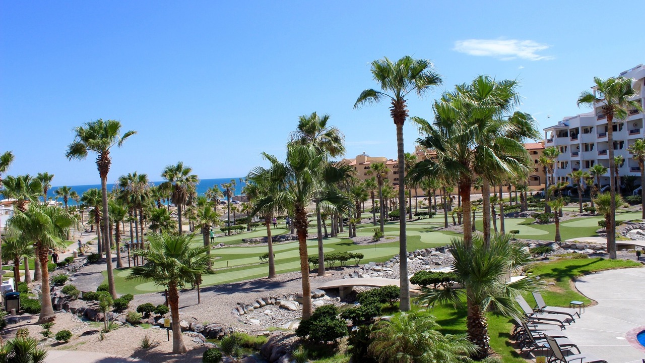 Photo of Others in Puerto Penasco