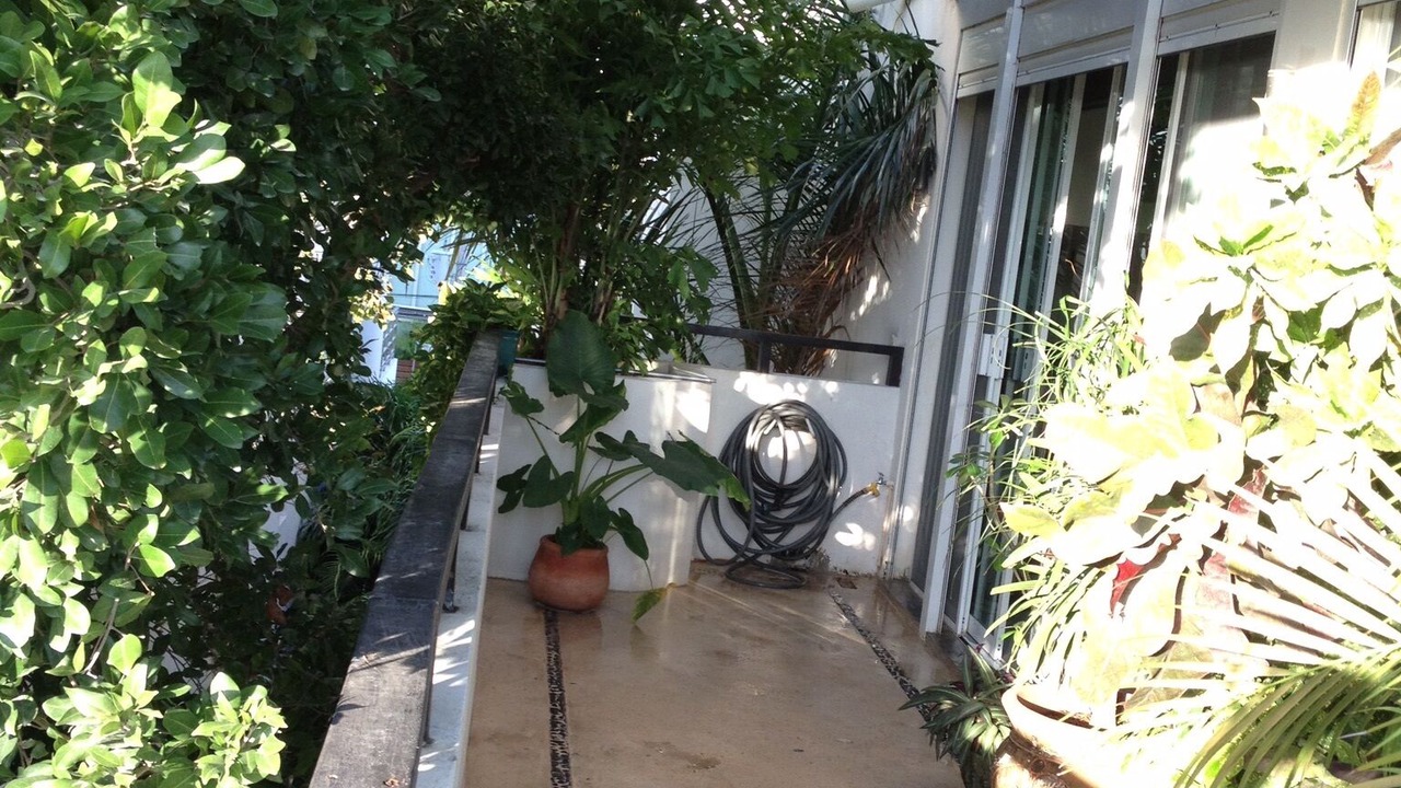 Photo of Outdoor in Gonzalo Guerrero