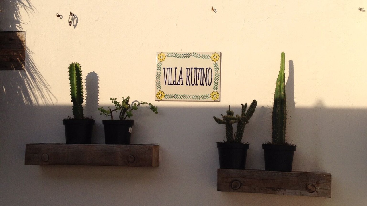 Photo of Outdoor in Gonzalo Guerrero