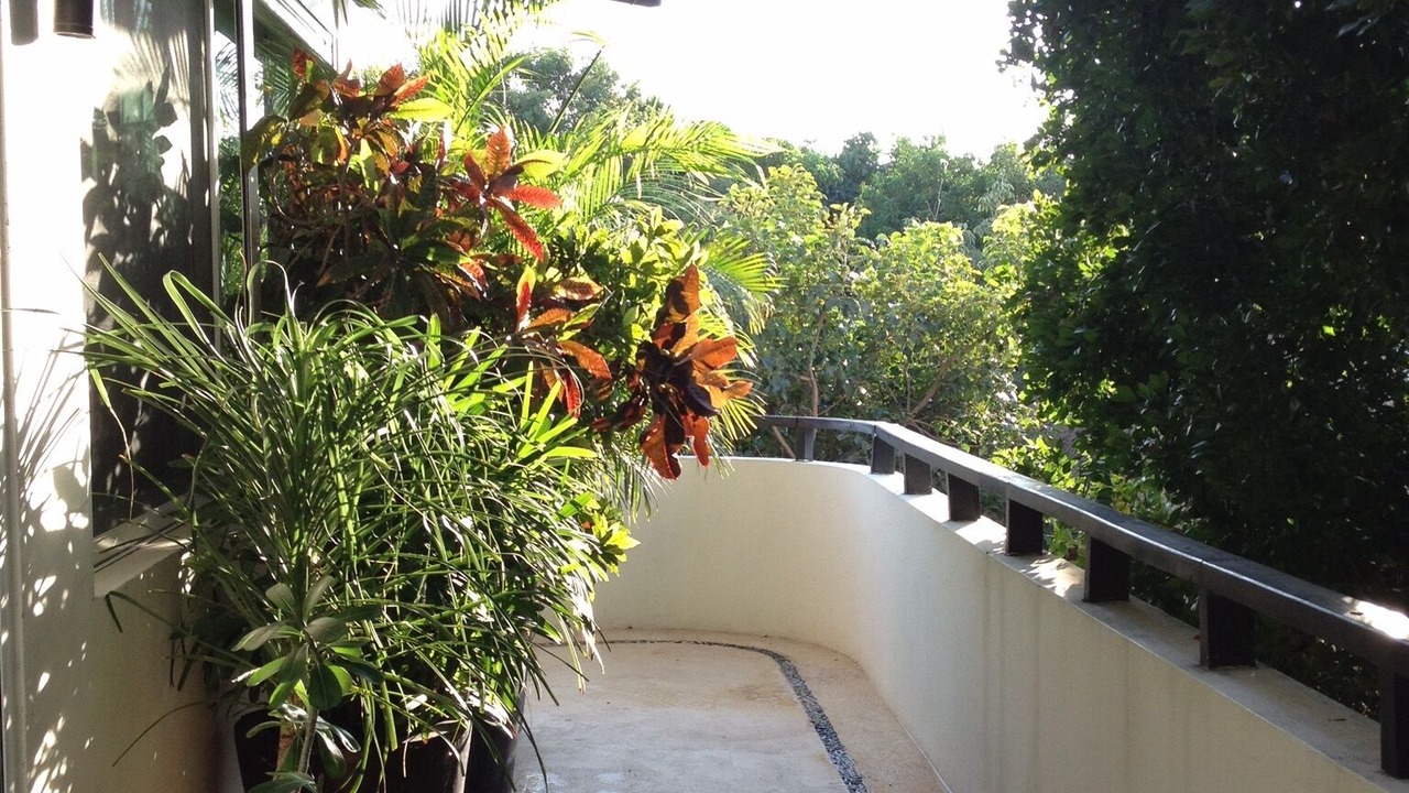 Photo of Outdoor in Gonzalo Guerrero