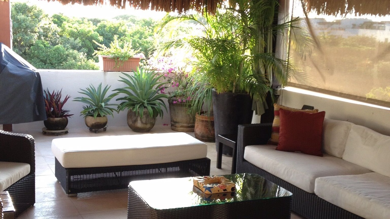 Photo of Patio Balcony in Gonzalo Guerrero