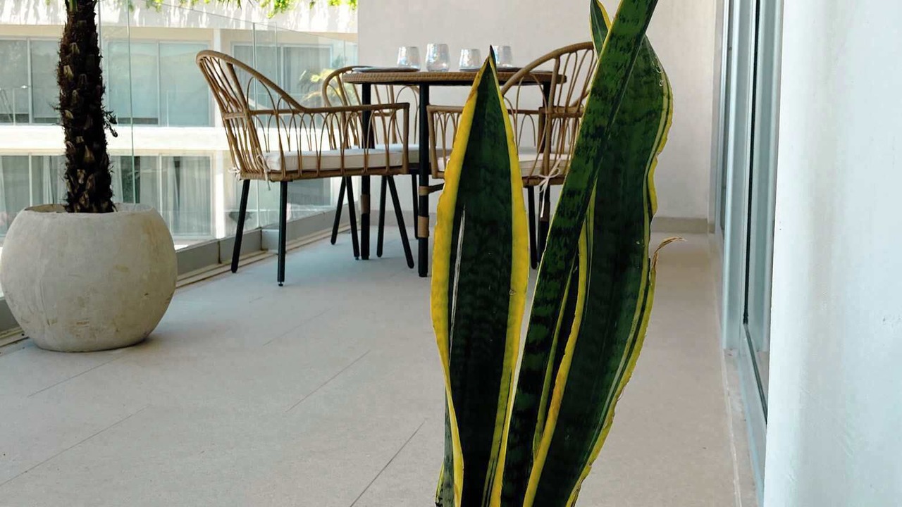 Photo of Outdoor in Playacar