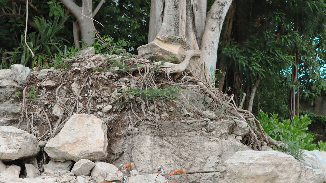 Photo of Others in Playacar