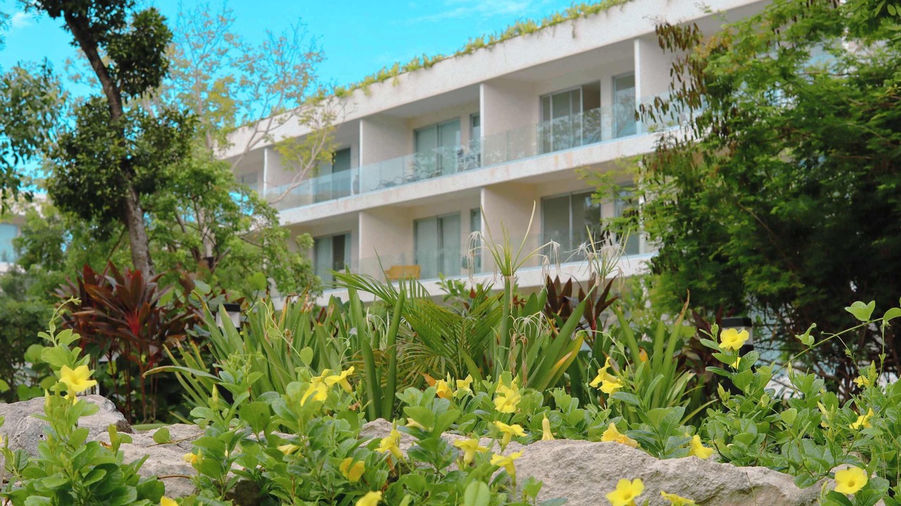 Photo of Outdoor in Playacar