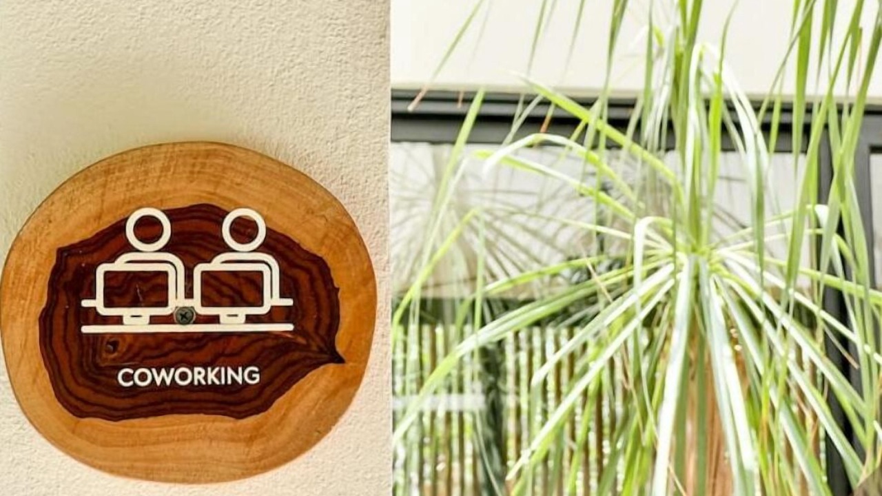 Photo of Outdoor in Tulum City Center