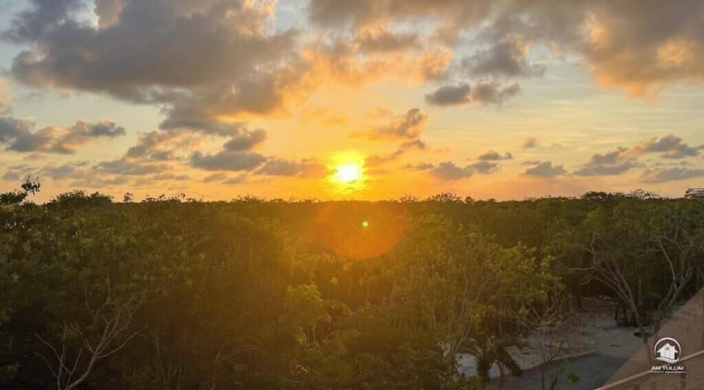 Photo of Others in Tulum City Center