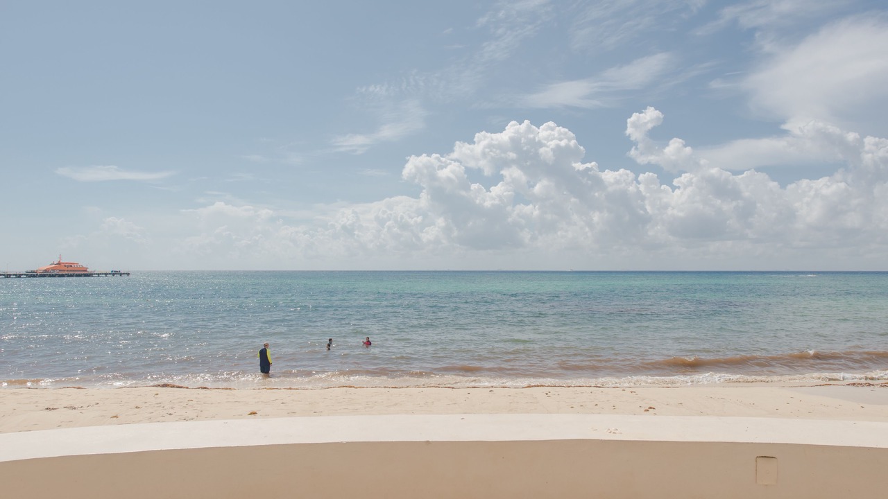 Photo of Others in Playacar Fase I