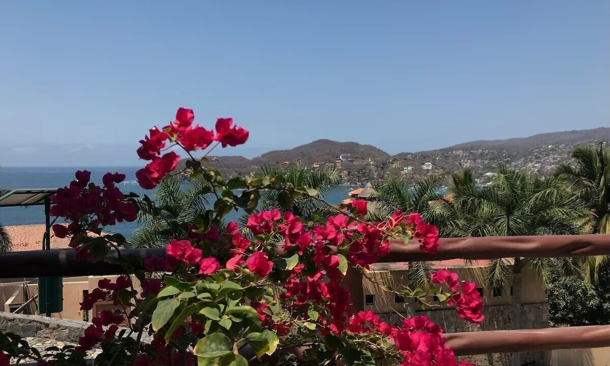 Photo of Others in Zihuatanejo