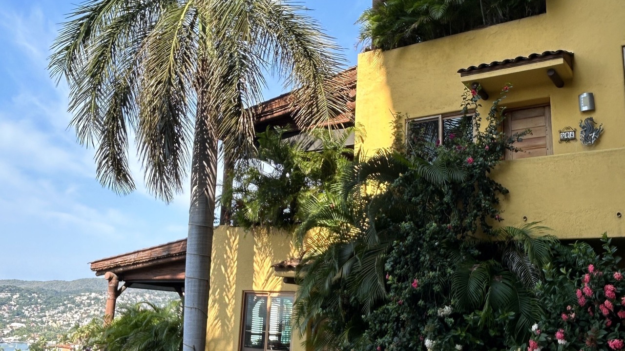 Photo of Outdoor in Zihuatanejo