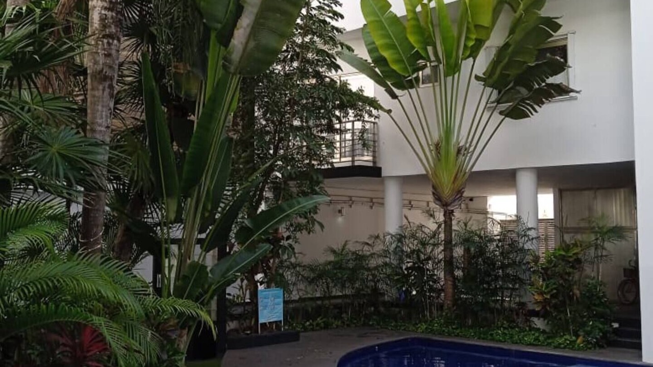 Photo of Outdoor in Gonzalo Guerrero