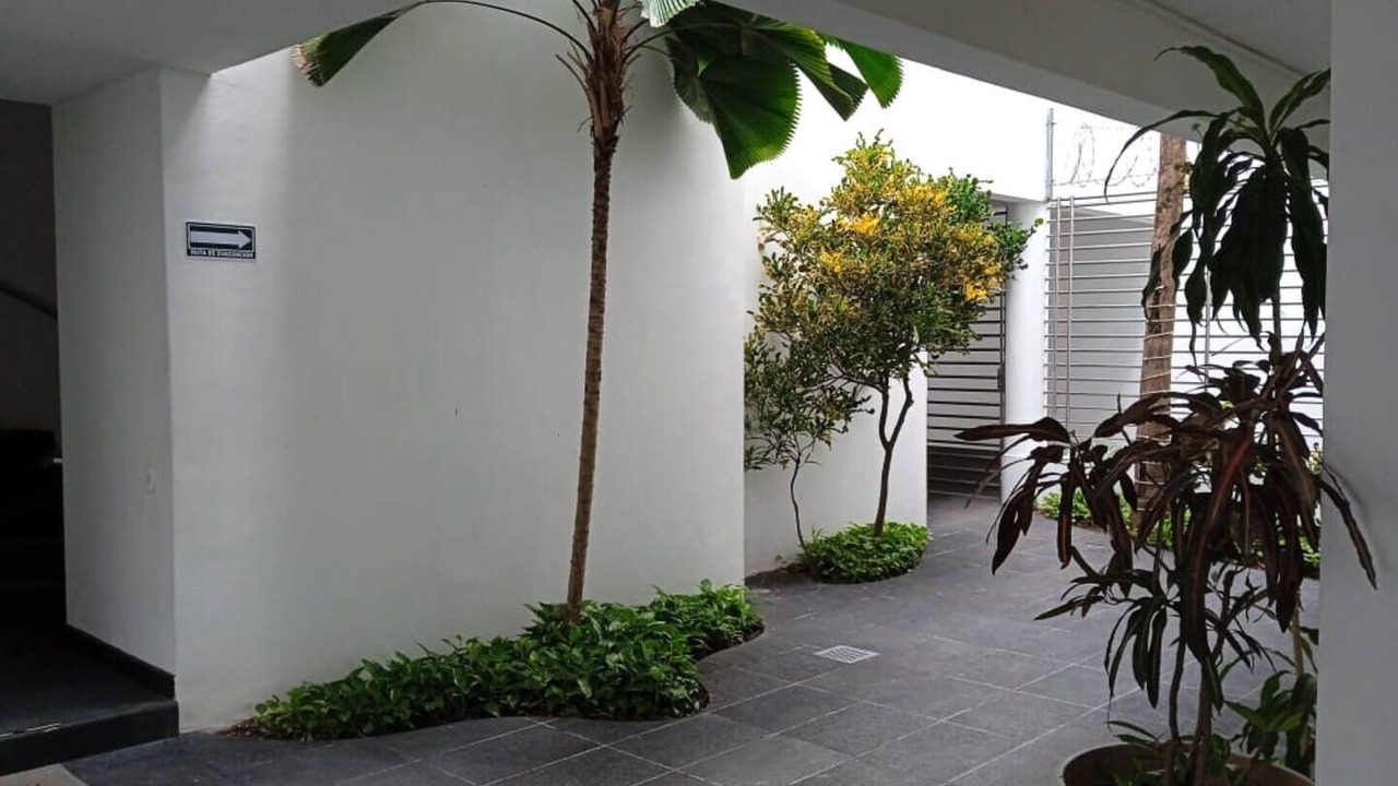 Photo of Outdoor in Gonzalo Guerrero