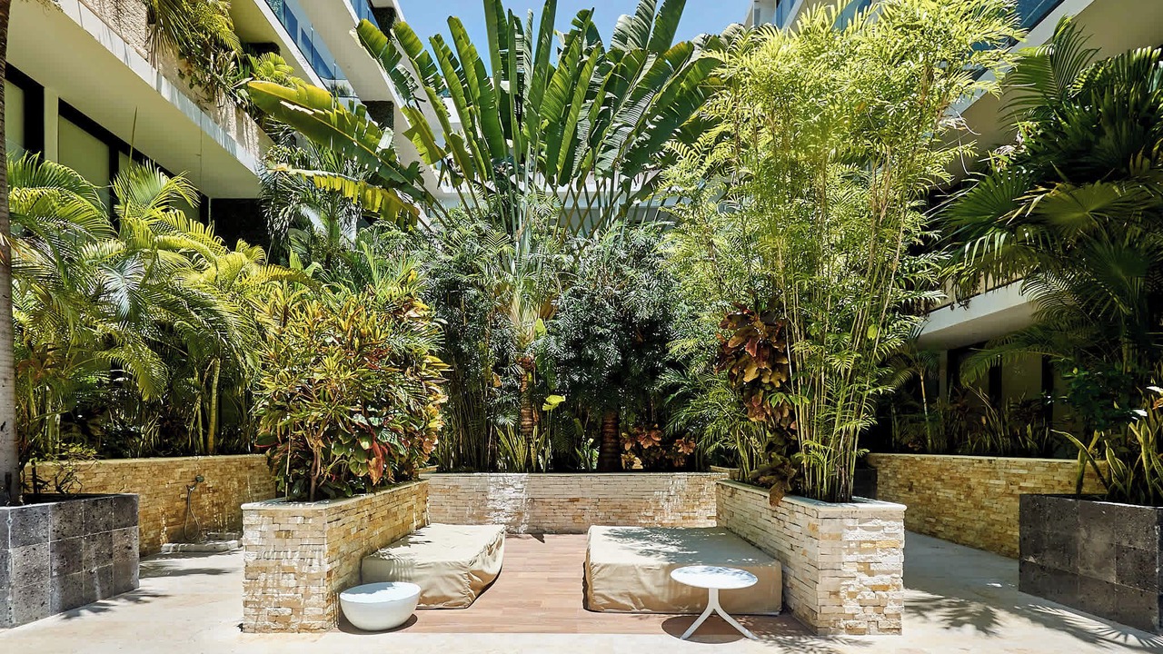 Photo of Outdoor in Gonzalo Guerrero
