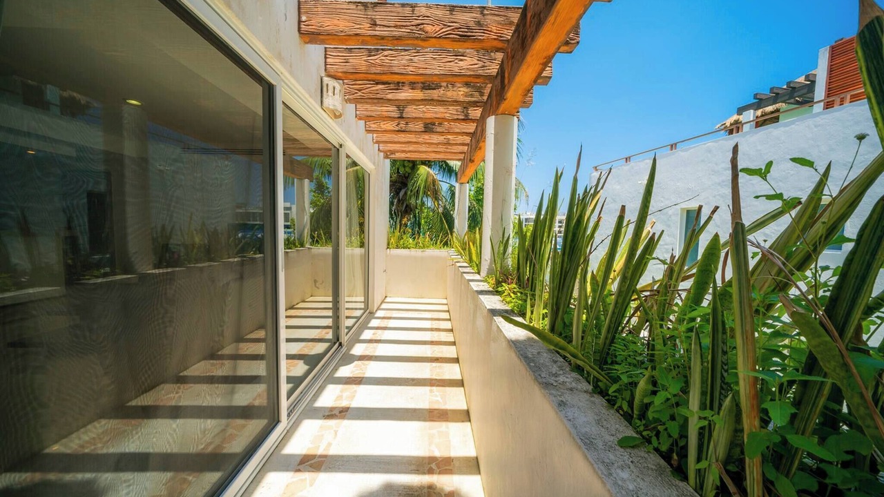 Photo of Outdoor in Gonzalo Guerrero