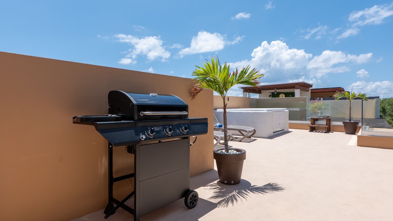 Photo of Patio Balcony in Playacar Fase II