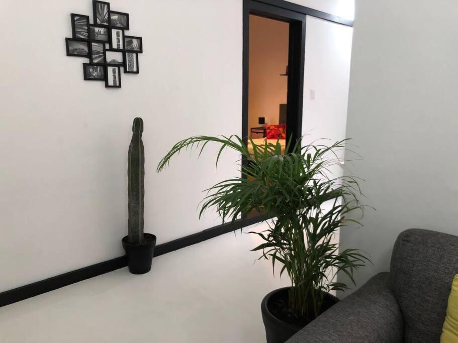 Photo of Others in Hipodromo