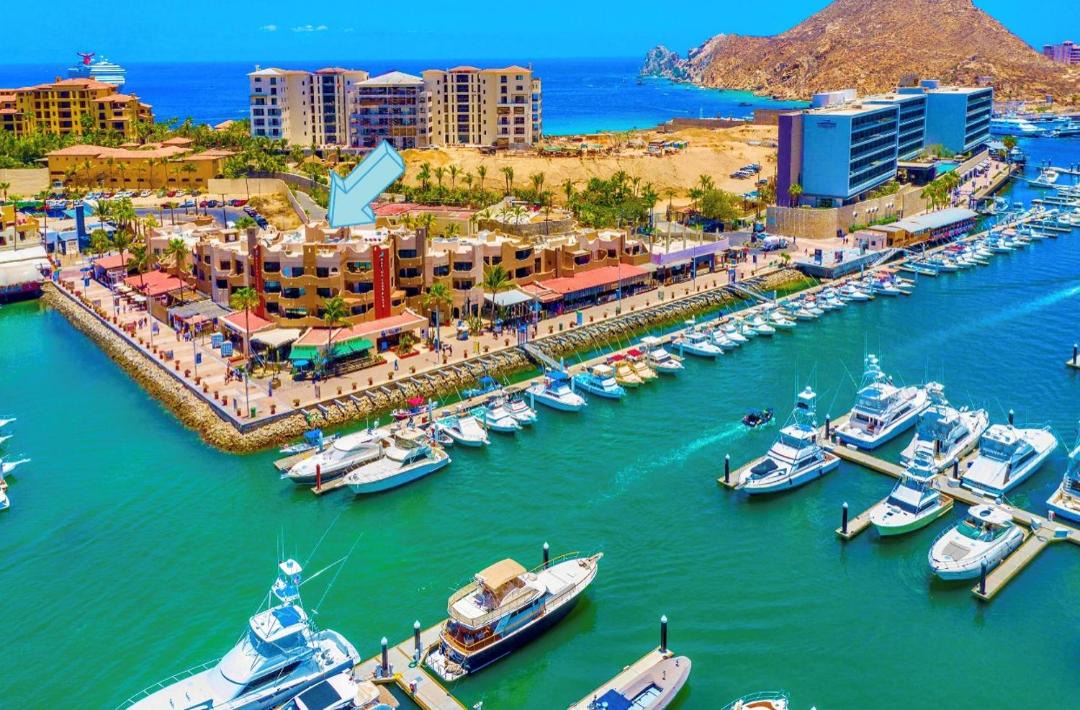 Photo of Others in Marina